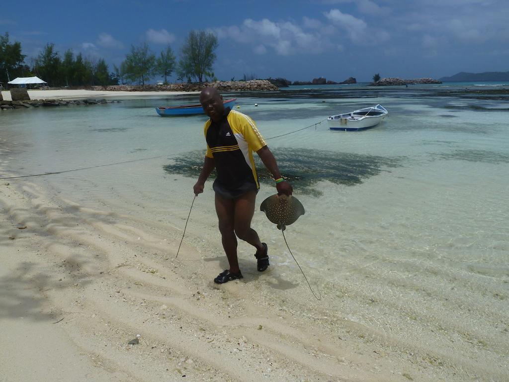 Tannette Villa Isola di Isola di La Digue Esterno foto